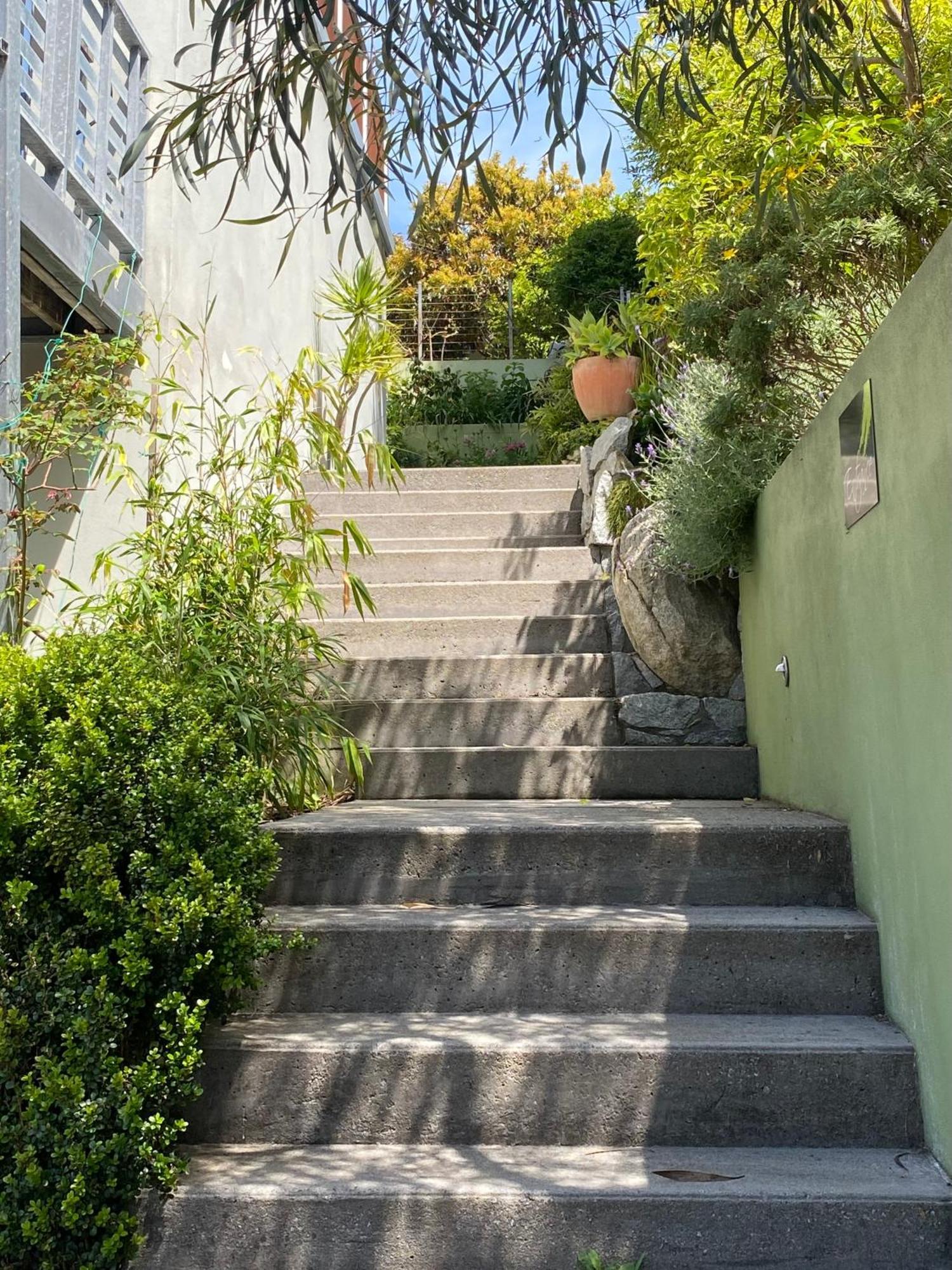 Saltair Luxury Accommodation - Adults Only アルバニー エクステリア 写真